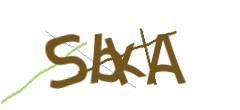 Identifying code