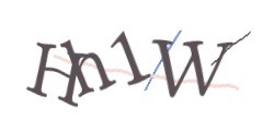 Identifying code