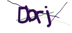 Identifying code