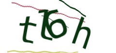 Identifying code