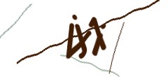 Identifying code