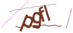 Identifying code