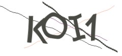 Identifying code