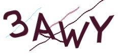 Identifying code