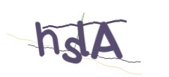 Identifying code