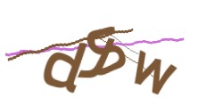 Identifying code