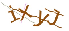 Identifying code