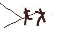 Identifying code
