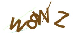 Identifying code