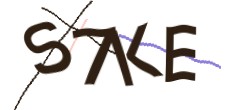 Identifying code