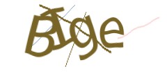 Identifying code