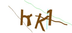 Identifying code