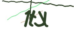 Identifying code