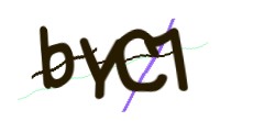 Identifying code