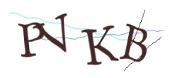 Identifying code