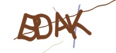 Identifying code