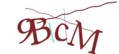 Identifying code