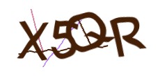 Identifying code