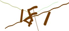 Identifying code