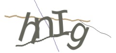 Identifying code