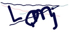 Identifying code
