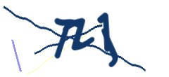 Identifying code