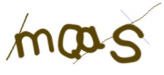Identifying code