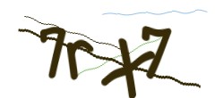 Identifying code