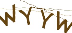 Identifying code
