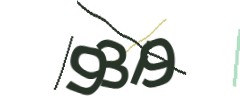 Identifying code