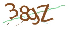 Identifying code