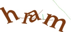 Identifying code