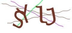 Identifying code