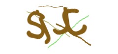Identifying code