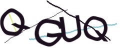Identifying code