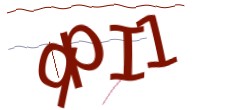 Identifying code