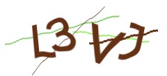 Identifying code