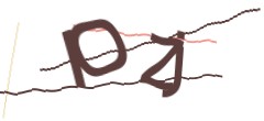 Identifying code
