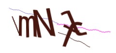 Identifying code