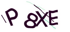 Identifying code