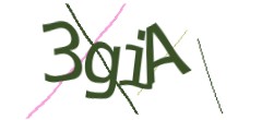 Identifying code