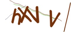 Identifying code