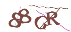 Identifying code