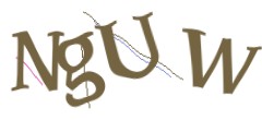 Identifying code