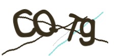 Identifying code