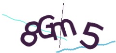 Identifying code