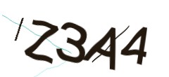 Identifying code