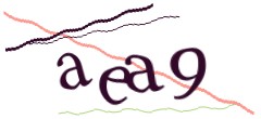 Identifying code