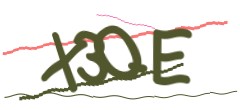 Identifying code
