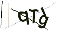 Identifying code